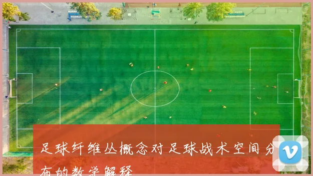 足球纤维丛概念对足球战术空间分布的数学解释