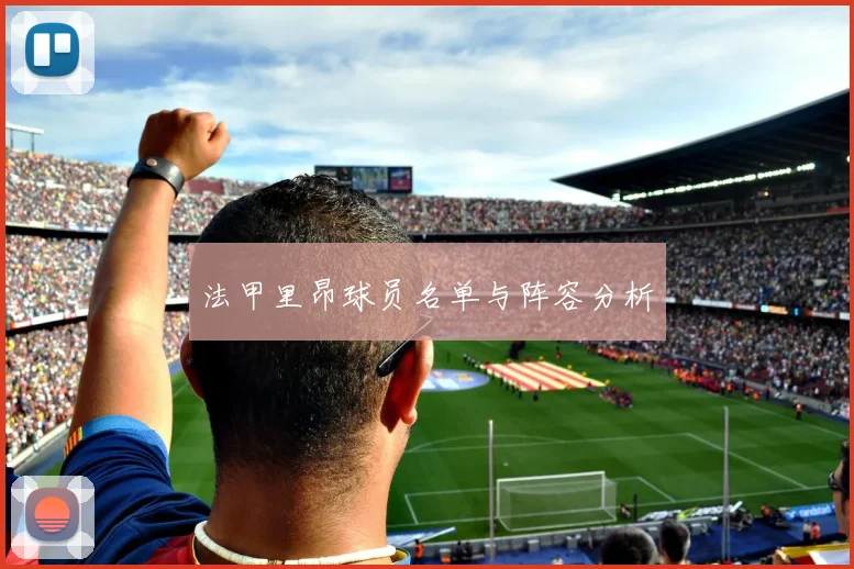 法甲里昂球员名单与阵容分析