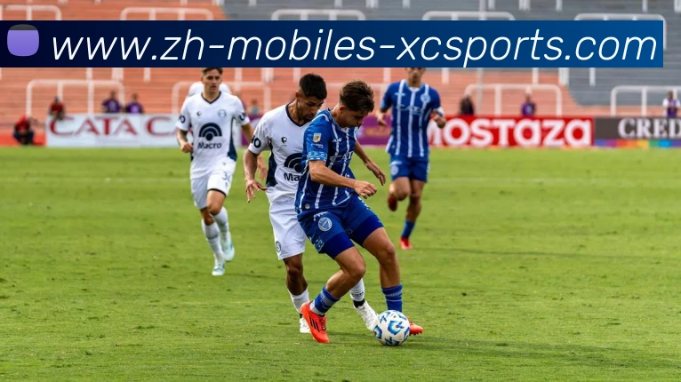 杏彩体育平台生态图