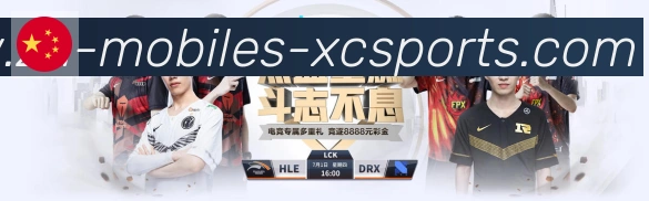 对战数据统计