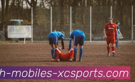 杏彩体育全站App